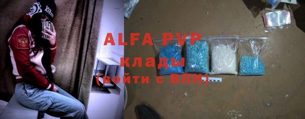 стаф Алзамай