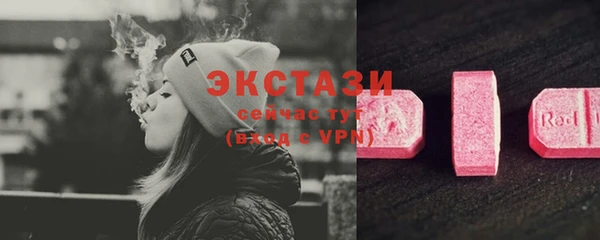 стаф Алзамай