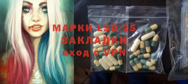 стаф Алзамай
