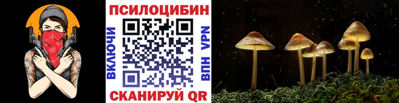 Псилоцибиновые грибы GOLDEN TEACHER  дарк нет официальный сайт  Находка 